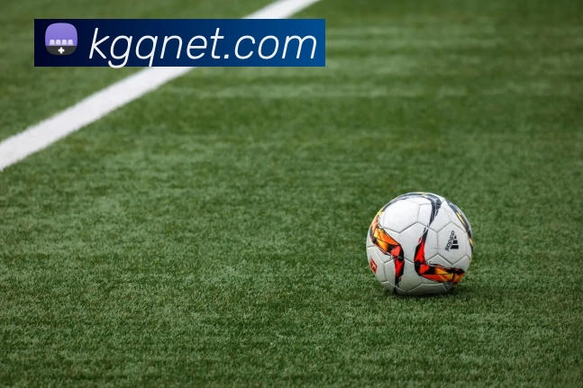 App Interface Preview